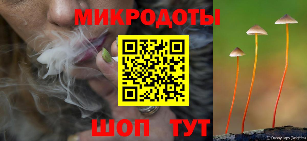 Псилоцибиновые грибы Psilocybe  Вход с VPN  Нижневартовск  Псилоцибиновые грибы Psilocybine cubensis 